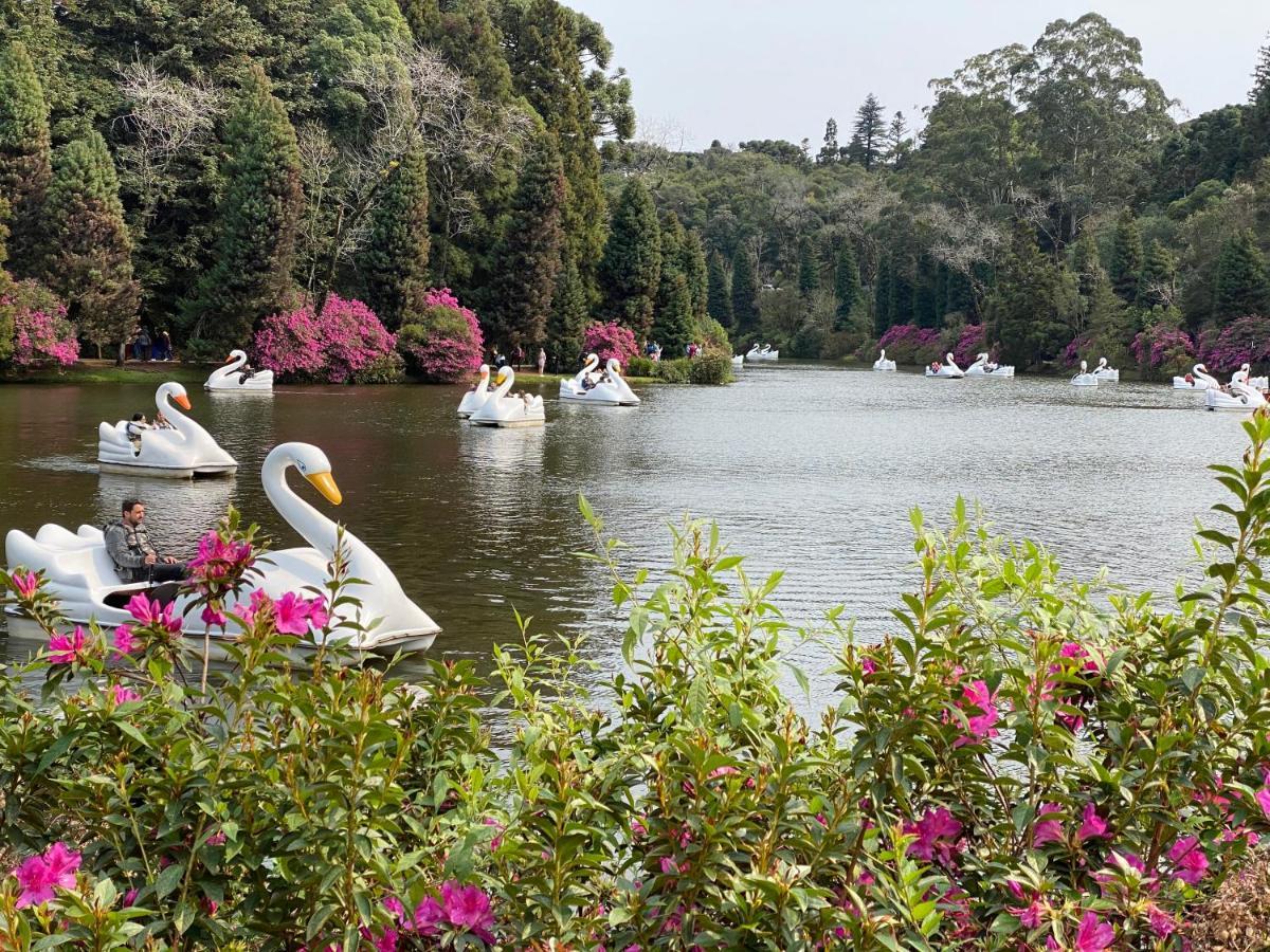 2 SUITE, 1 DORMITORIO EM MEIO A MATA ARAUCARIA A 1,5 Km Centro, ALTOS DE GRAMADO Exterior foto