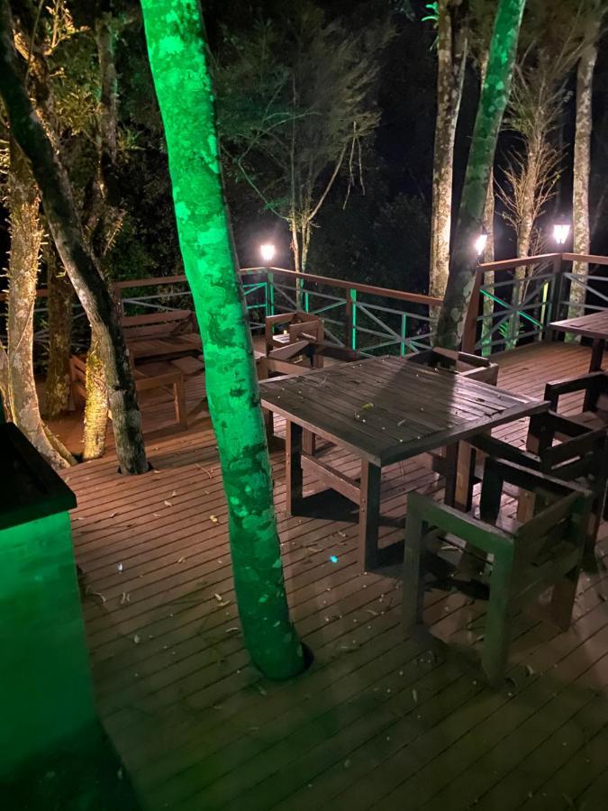 2 SUITE, 1 DORMITORIO EM MEIO A MATA ARAUCARIA A 1,5 Km Centro, ALTOS DE GRAMADO Exterior foto